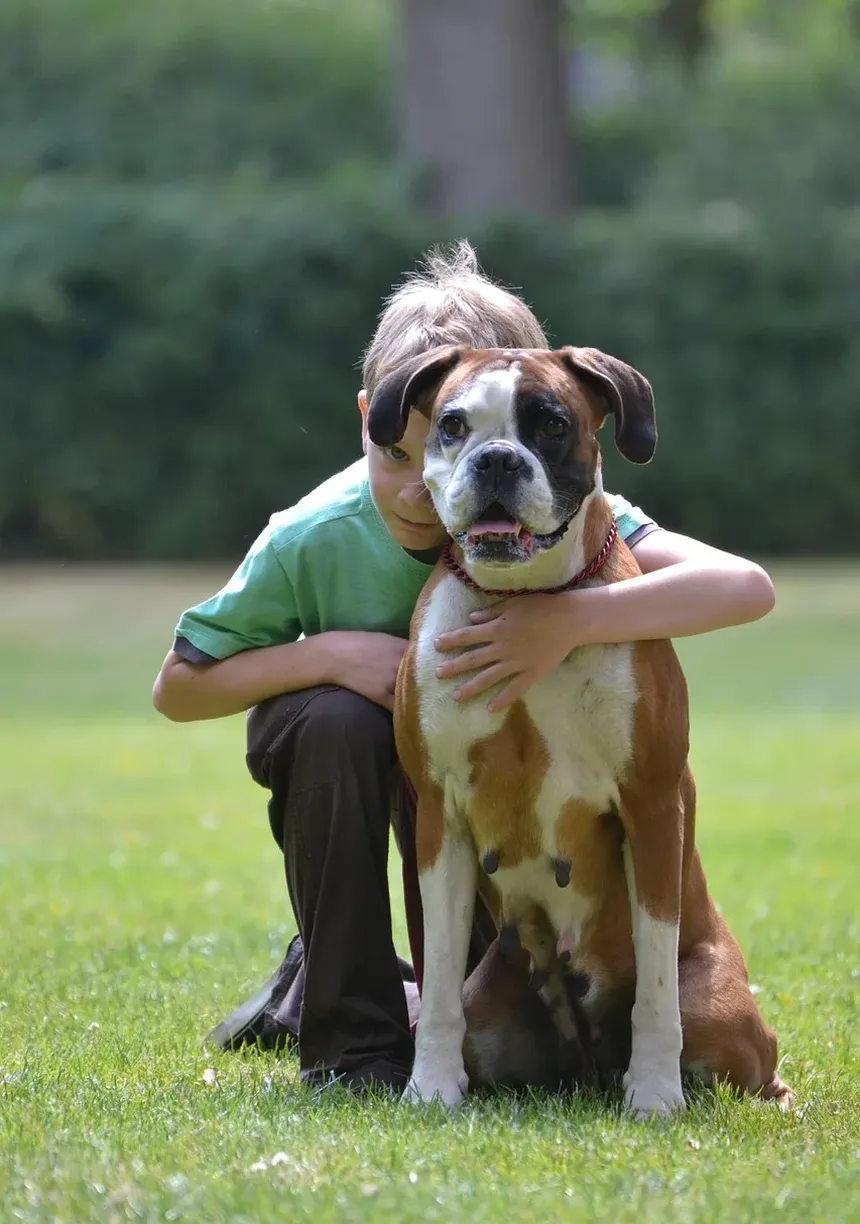 Tratamento de Intoxicação em Cães: Um Guia Completo